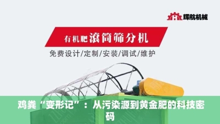  鸡粪“变形记”：从污染源到黄金肥的科技密码
