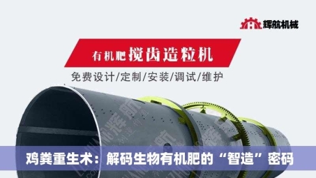  鸡粪重生术：解码生物有机肥的“智造”密码