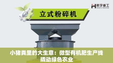 小猪粪里的大生意：微型有机肥生产线撬动绿色农业
