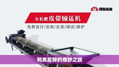 鸭粪发酵的奇妙之旅
