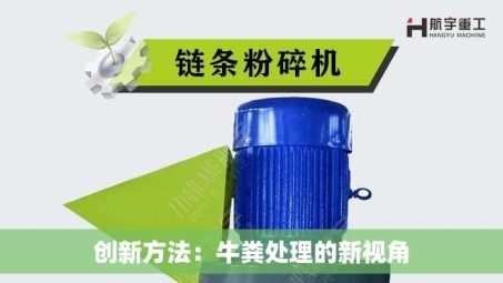 创新方法：牛粪处理的新视角